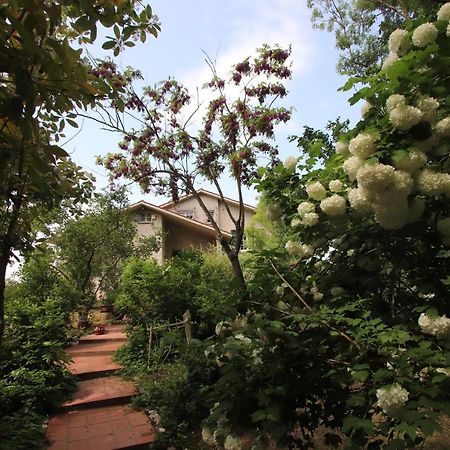 Bed and Breakfast La Casa Nel Bosco Savio di Ravenna Zewnętrze zdjęcie