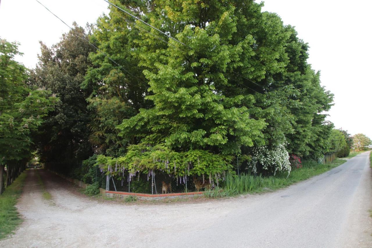 Bed and Breakfast La Casa Nel Bosco Savio di Ravenna Zewnętrze zdjęcie
